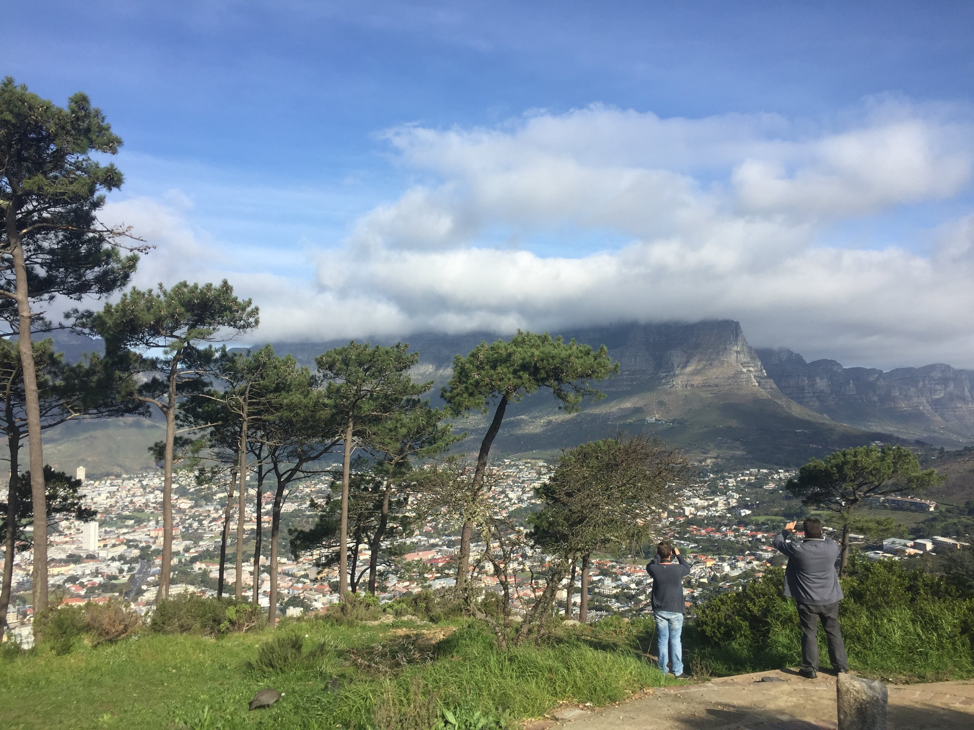 Table Mountain (Cape Town Travel Guide)
