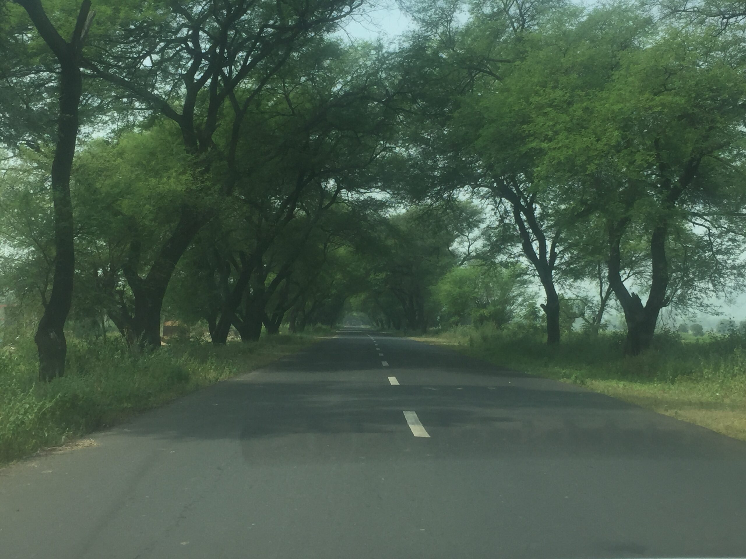 Enroute To Kanha National Park