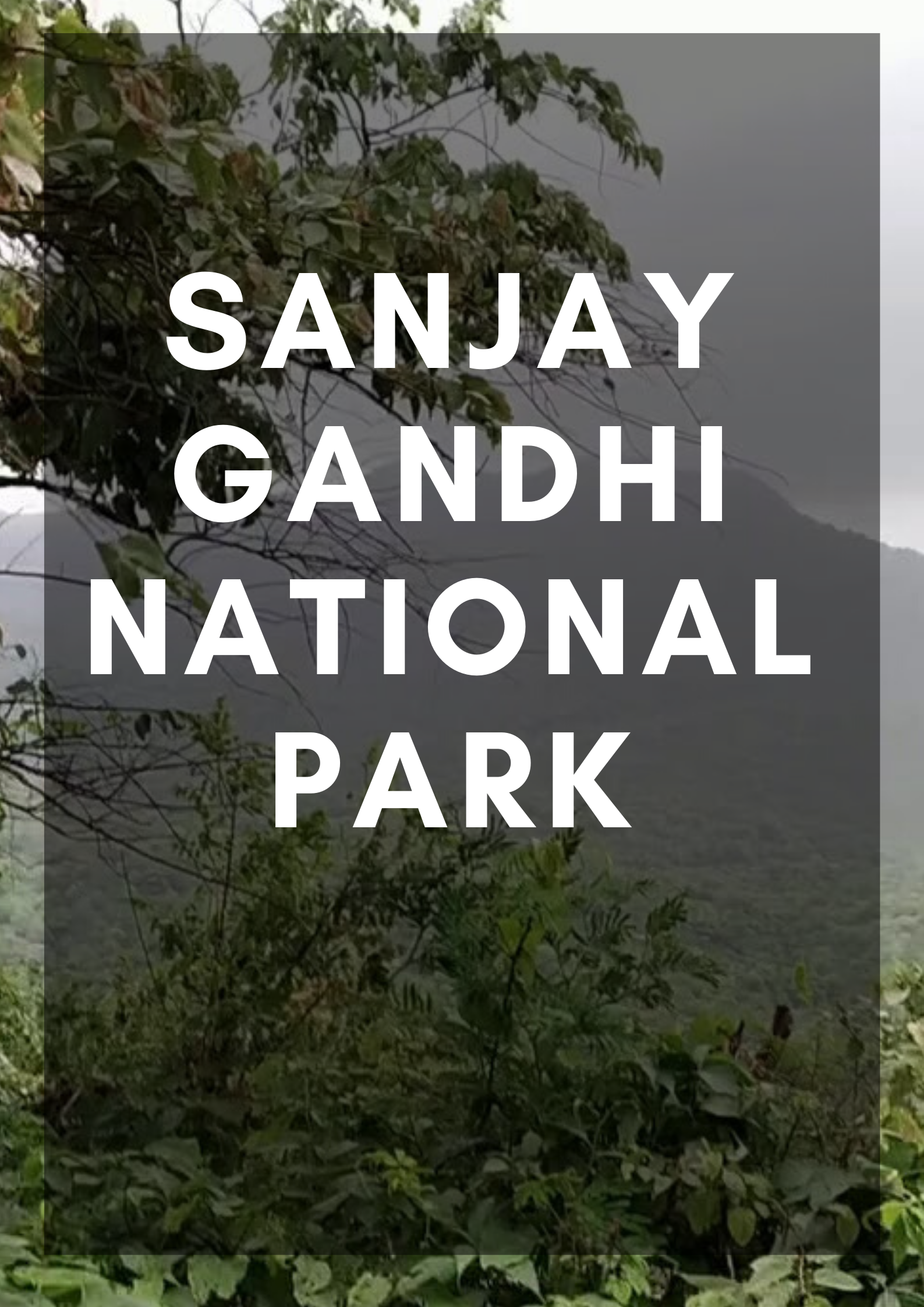 Sanjay Gandhi National Park Guide Mark My Adventure