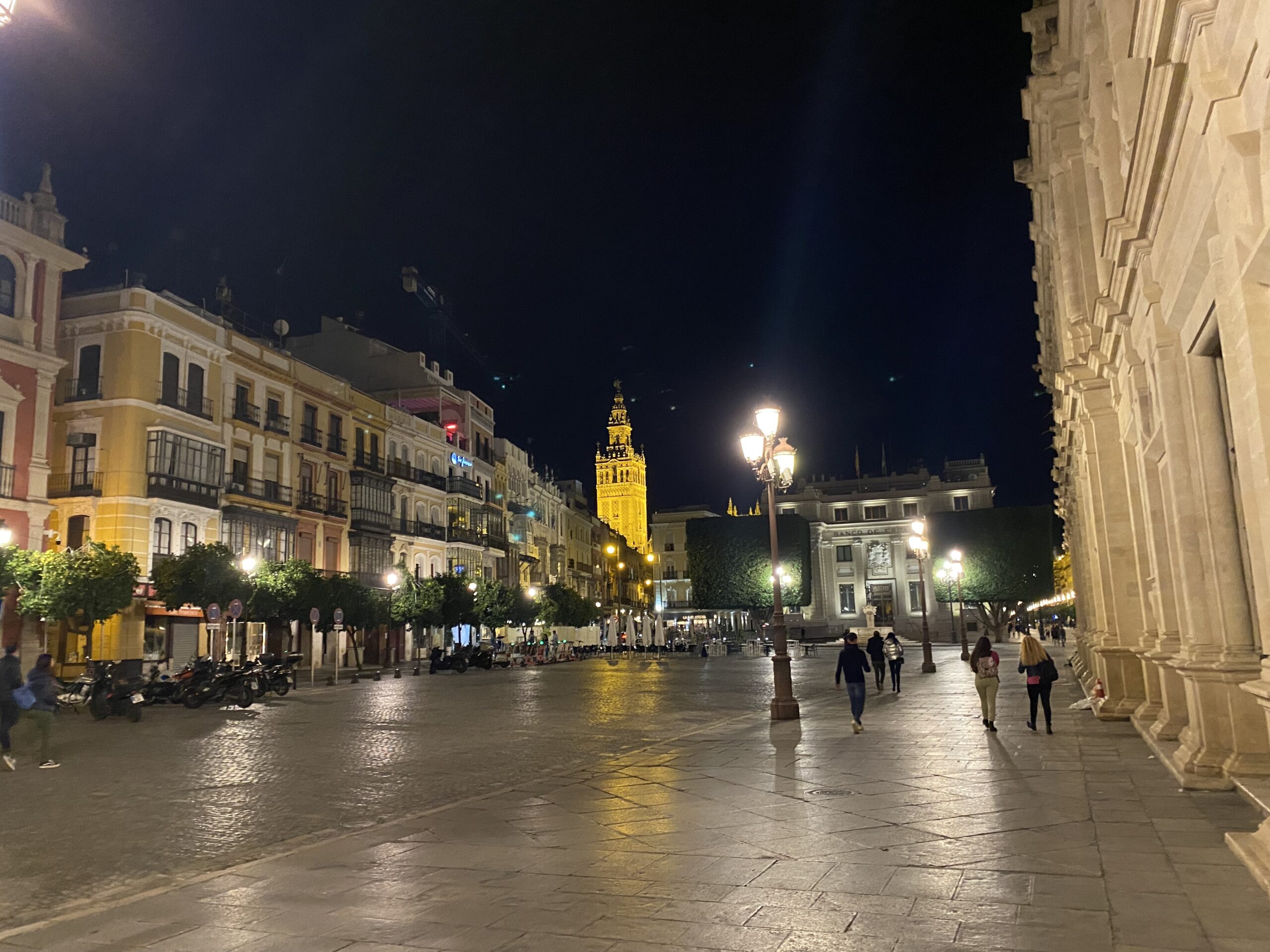 Seville Night View
