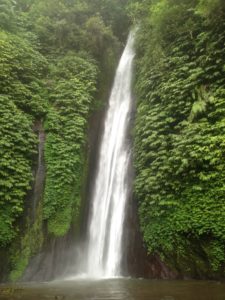Water Fall In Bali