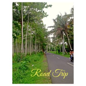 Road Bali