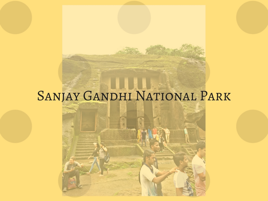 Sanjay Gandhi National Park Mark My Adventure