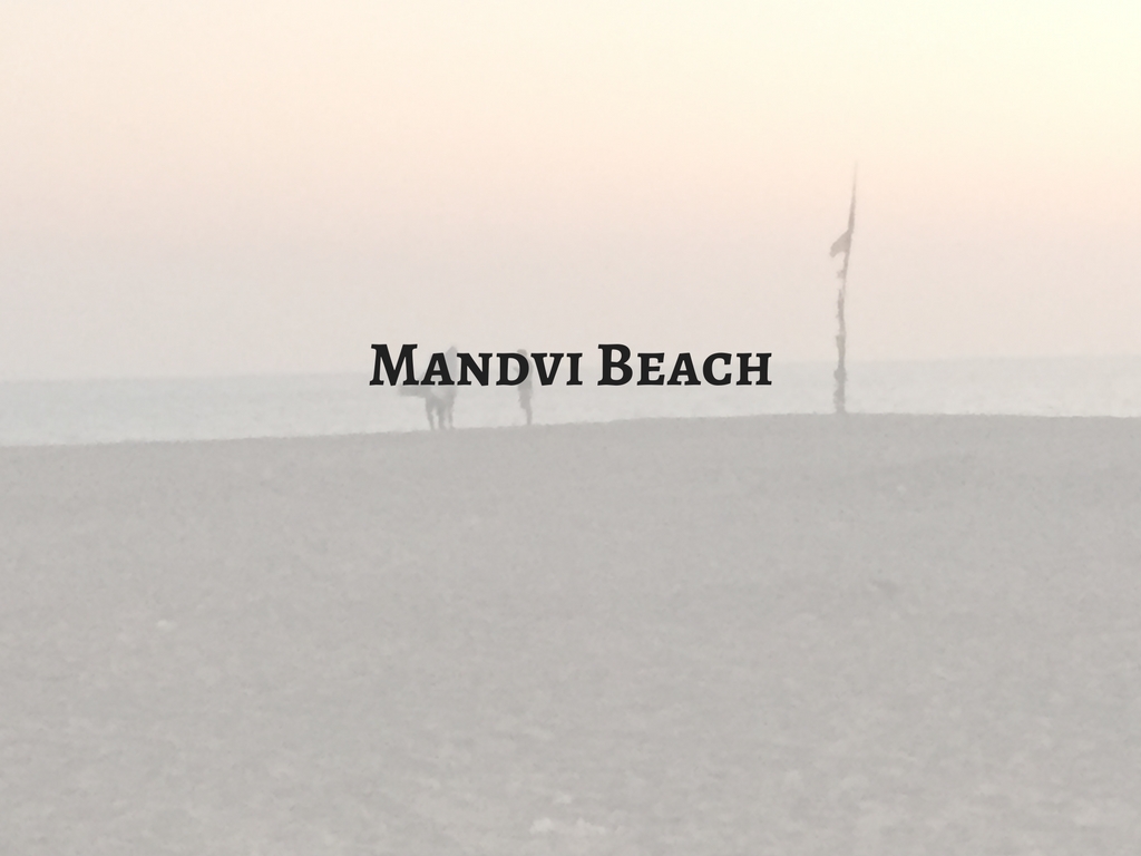 Mandvi Beach Mark My Adventure