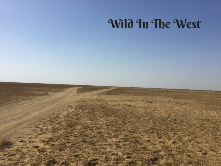 Wild In The West Mark My Adventure