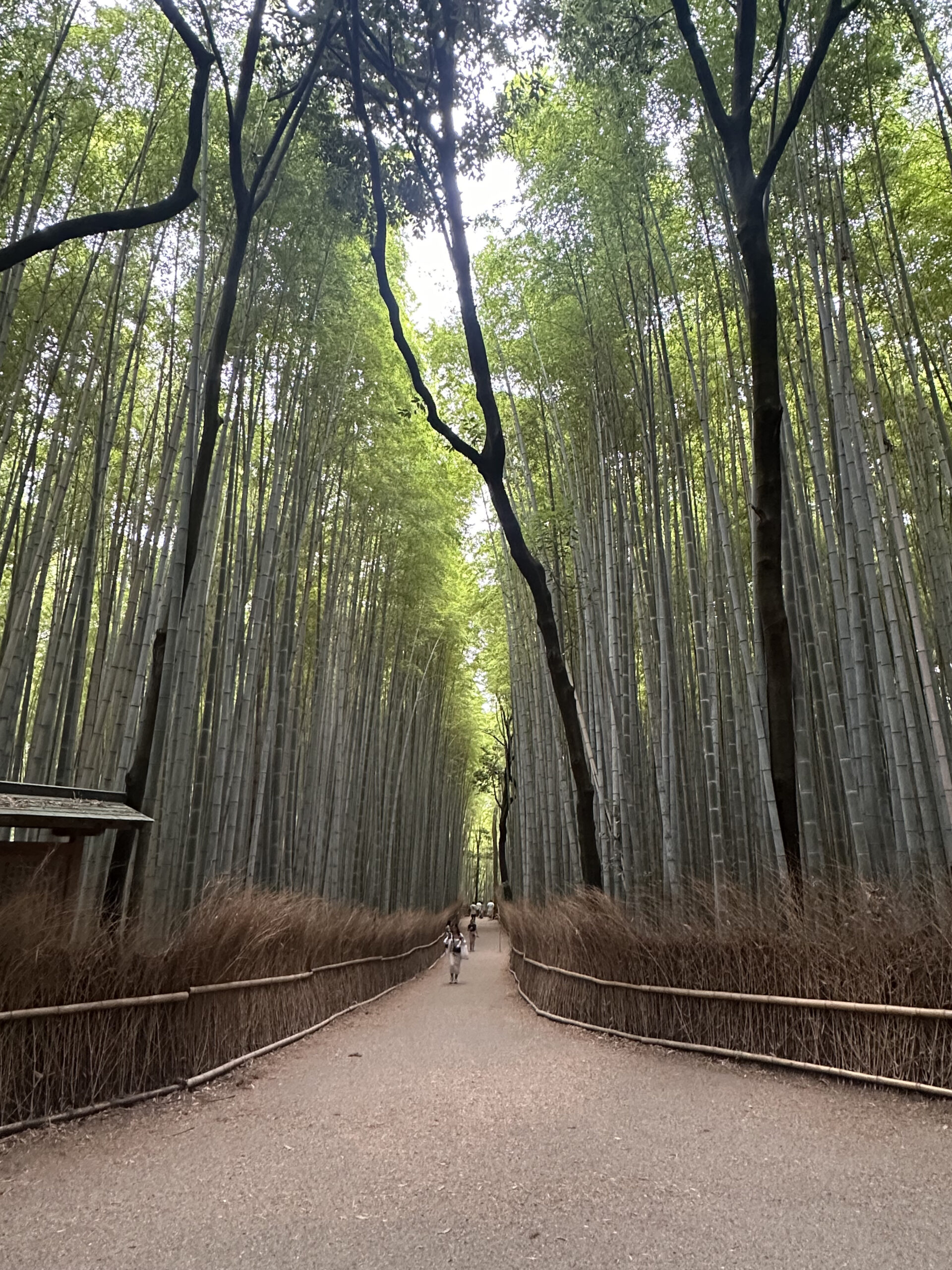 Kyoto